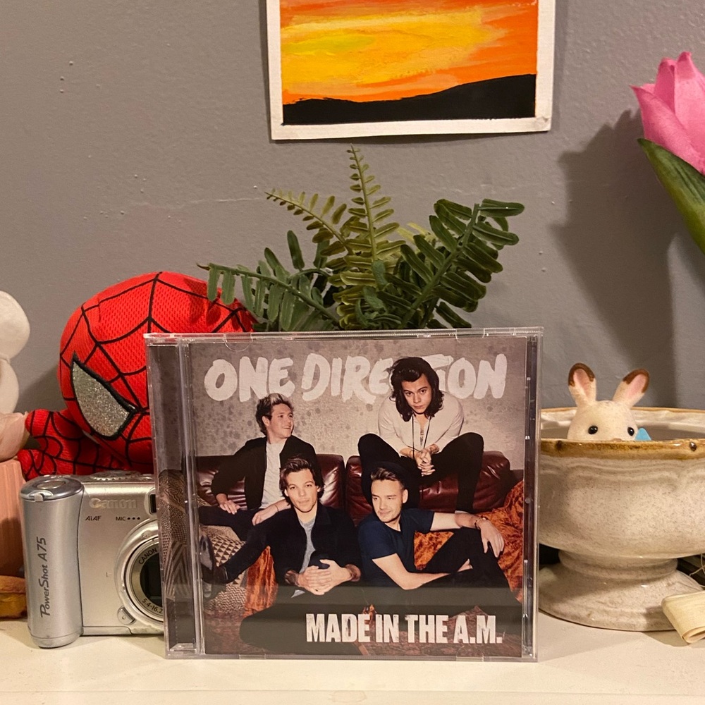 one direction made in the am CD
